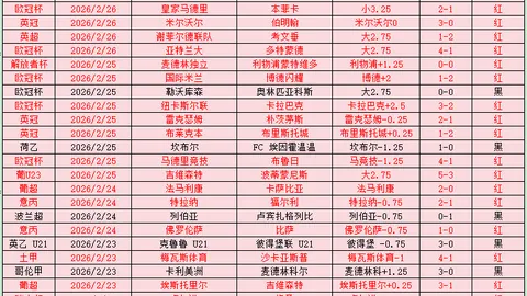 星火闪耀：海外新兴力量